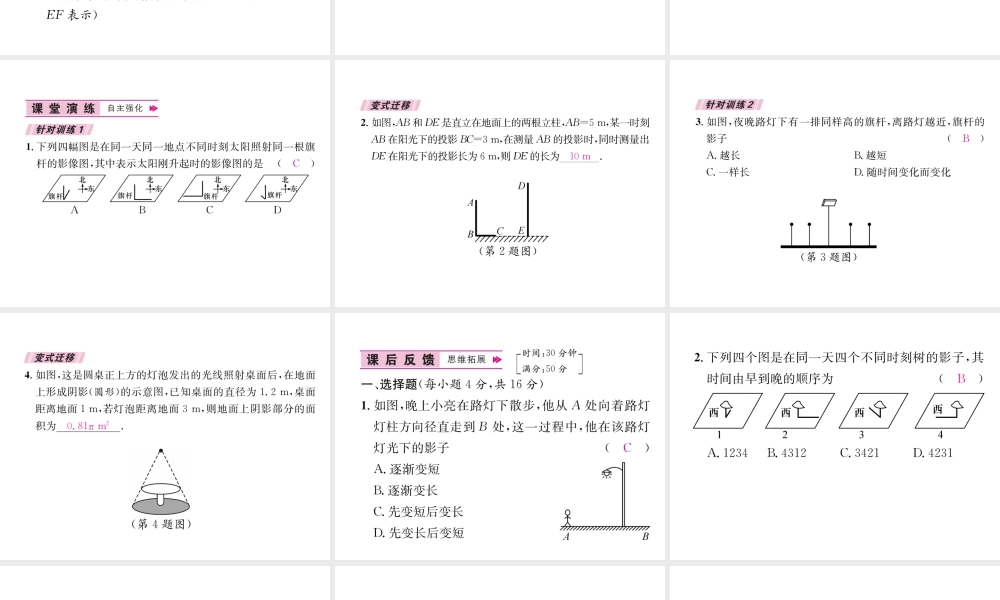 （遵义专版）秋九年级数学下册 第29章 投影与视图 29.1 投影习题课件 （新版）新人教版-（新版）新人教版初中九年级下册数学课件