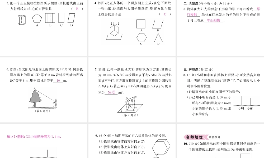 （遵义专版）秋九年级数学下册 第29章 投影与视图 29.1 投影习题课件 （新版）新人教版-（新版）新人教版初中九年级下册数学课件