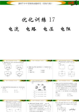 （青海专版）中考物理命题研究 第一编 教材知识梳理篇 第17讲 电流 电路 电压 电阻 优化训练17 电流 电路 电压 电阻课件-人教版初中九年级全册物理课件