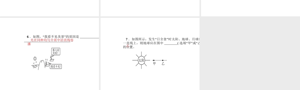 （遵义专版）秋八年级物理全册 4.1 光的反射（第1课时 光的直线传播）课堂作业课件 （新版）沪科版-（新版）沪科版初中八年级全册物理课件