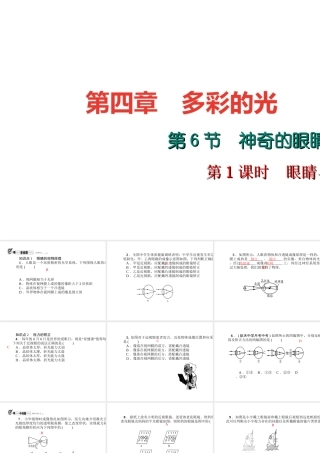 （遵义专版）秋八年级物理全册 4.6 神奇的眼睛（第1课时 眼睛与眼镜）课件 （新版）沪科版-（新版）沪科版初中八年级全册物理课件