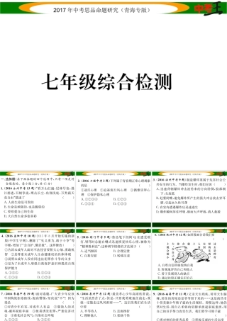 （青海专版）中考政治总复习 第一篇 教材知识梳理 七年级综合检测课件-人教版初中九年级全册政治课件