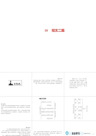 （遵义专版）秋八年级语文上册 第三单元 10 短文二篇习题课件 新人教版-新人教版初中八年级上册语文课件