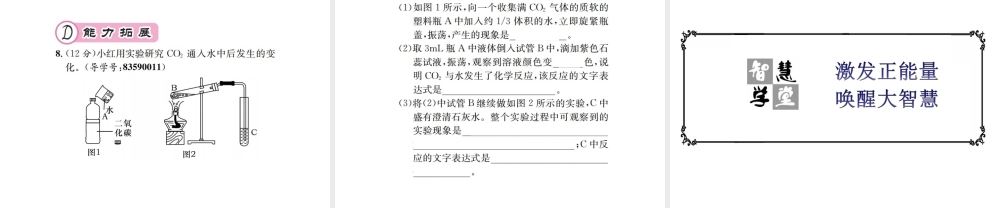 （遵义专版）秋九年级化学全册 第2章 身边的化学物质 基础实验2 二氧化碳的制取与性质课件 沪教版-沪教版初中九年级全册化学课件