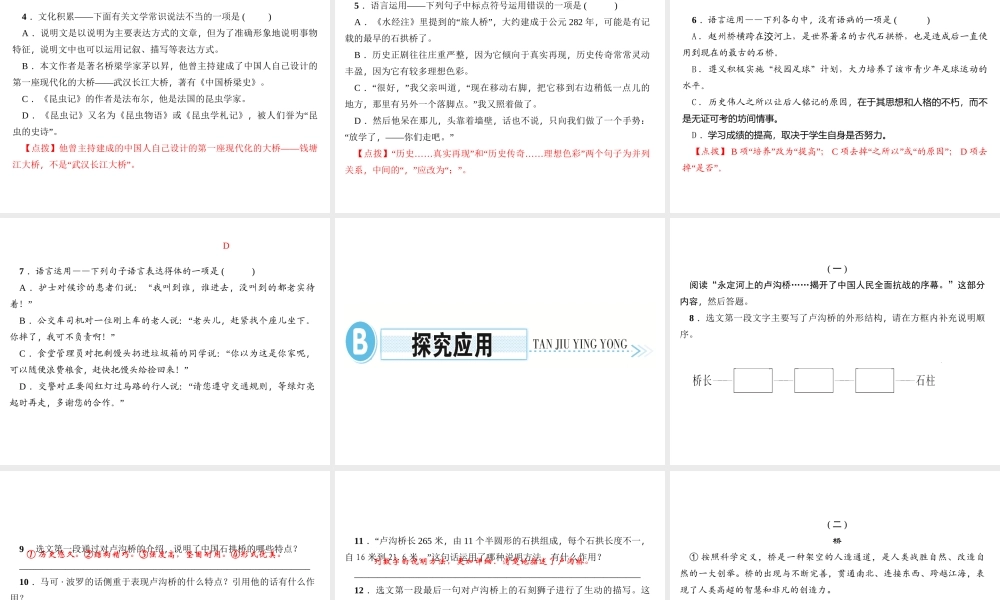 （遵义专版）秋八年级语文上册 第五单元 17 中国石拱桥习题课件 新人教版-新人教版初中八年级上册语文课件