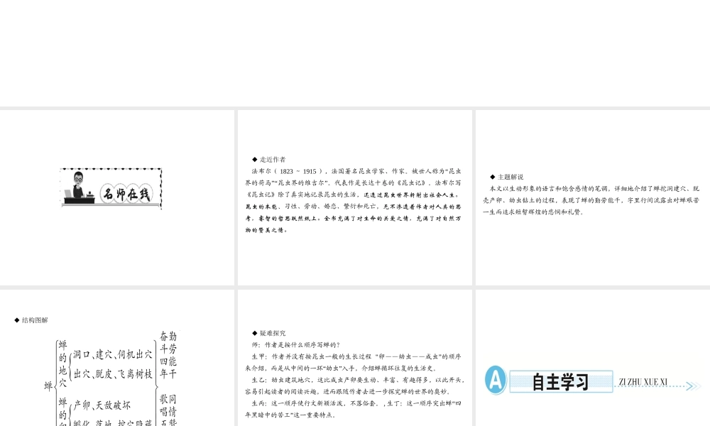 （遵义专版）秋八年级语文上册 第五单元 19 蝉习题课件 新人教版-新人教版初中八年级上册语文课件
