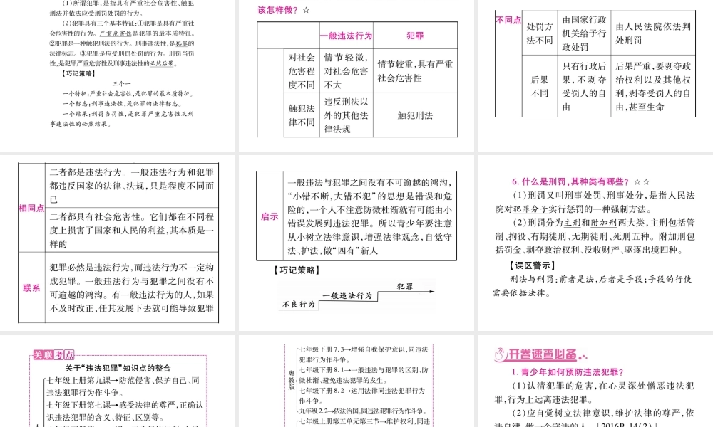 （重庆专版）中考政治 第2篇 第2部分 法律复习课件-人教版初中九年级全册政治课件