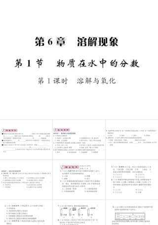 （遵义专版）秋九年级化学全册 第6章 溶解现象 6.1 物质在水中的分数 第1课时 溶解与氧化课件 沪教版-沪教版初中九年级全册化学课件