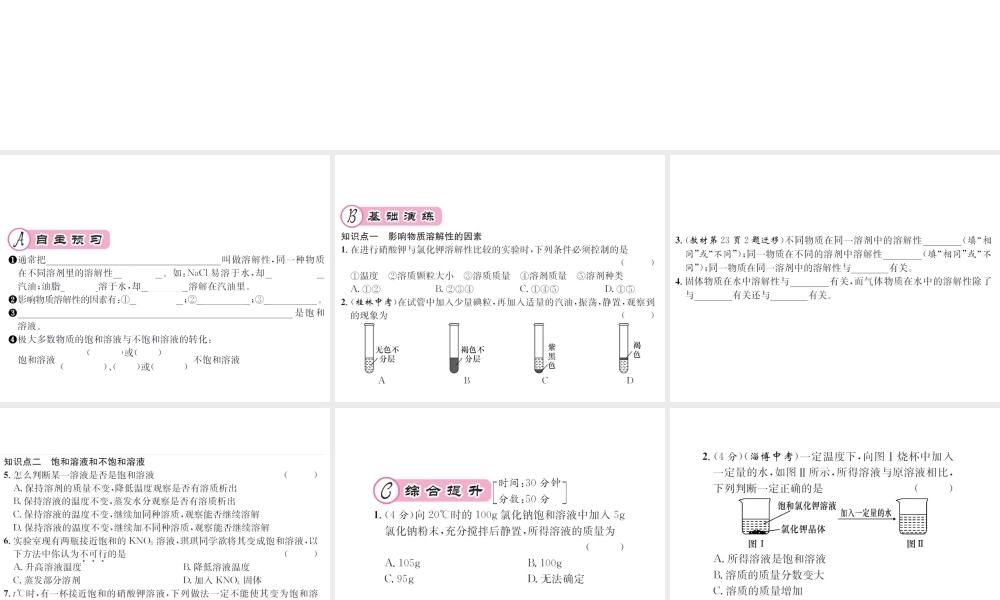 （遵义专版）秋九年级化学全册 第6章 溶解现象 6.3 物质的溶解性 第1课时 影响物质溶解性的因素课件 沪教版-沪教版初中九年级全册化学课件