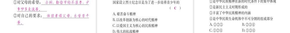 （重庆专版）中考政治 第一篇 第三部分 认识国情 爱我中华 第二十讲 民族精神 精神文明复习课件-人教版初中九年级全册政治课件
