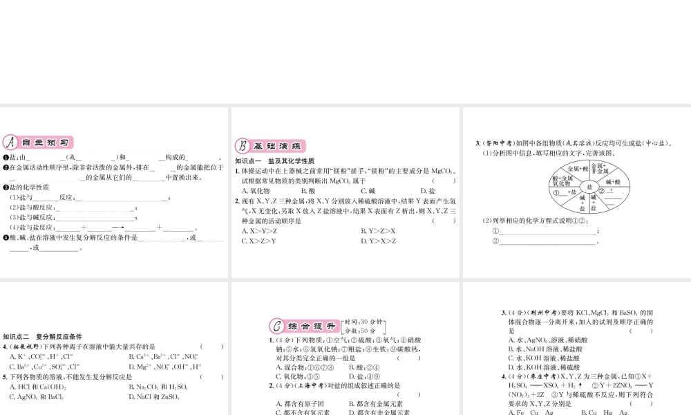 （遵义专版）秋九年级化学全册 第7章 应用广泛的酸、碱、盐 7.3 几种重要的盐 第1课时 盐课件 沪教版-沪教版初中九年级全册化学课件