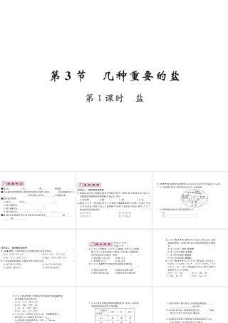 （遵义专版）秋九年级化学全册 第7章 应用广泛的酸、碱、盐 7.3 几种重要的盐 第1课时 盐课件 沪教版-沪教版初中九年级全册化学课件