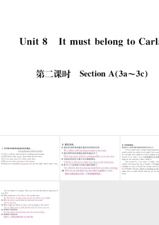 （遵义专版）秋九年级英语全册 Unit 8 It must belong to Carla（第2课时）习题课件 （新版）人教新目标版-（新版）人教新目标版初中九年级全册英语课件