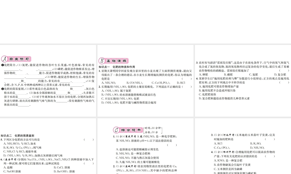 （遵义专版）秋九年级化学全册 第7章 应用广泛的酸、碱、盐 7.3 几种重要的盐 第3课时 化学肥料课件 沪教版-沪教版初中九年级全册化学课件