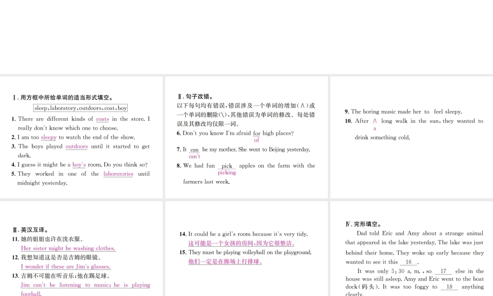 （遵义专版）秋九年级英语全册 Unit 8 It must belong to Carla（第3课时）习题课件 （新版）人教新目标版-（新版）人教新目标版初中九年级全册英语课件