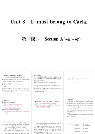 （遵义专版）秋九年级英语全册 Unit 8 It must belong to Carla（第3课时）习题课件 （新版）人教新目标版-（新版）人教新目标版初中九年级全册英语课件