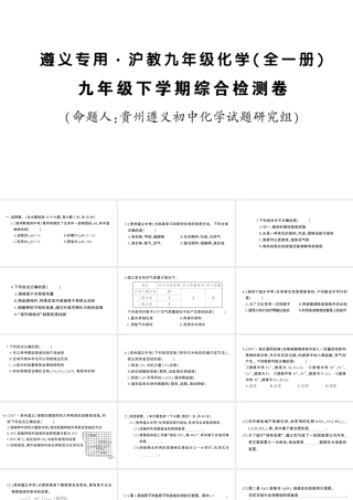 （遵义专版）秋九年级化学全册 九下 综合检测卷习题课件 沪教版-沪教版初中九年级全册化学课件
