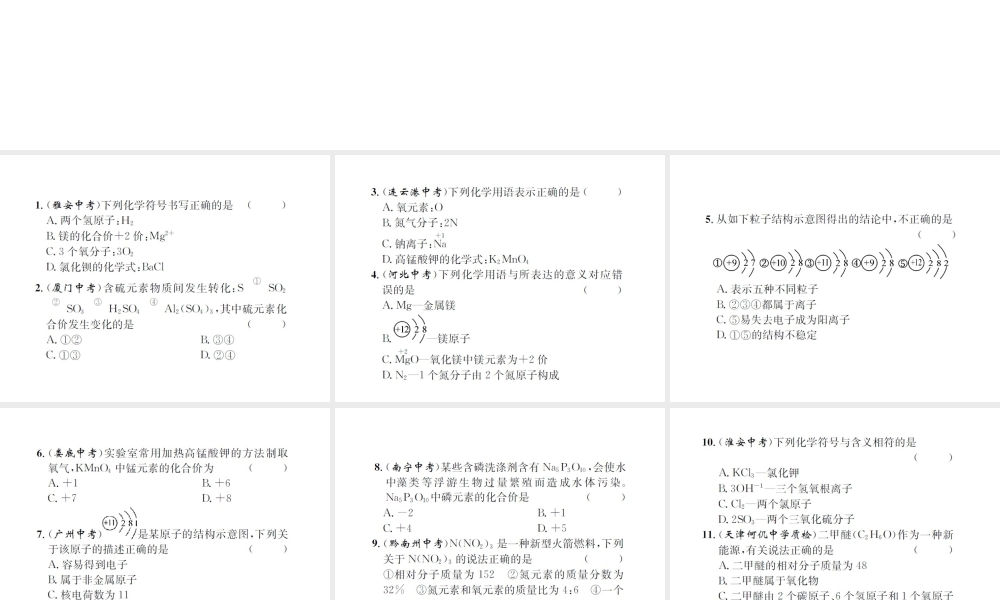 （遵义专版）秋九年级化学全册 专题2 化学用语课件 沪教版-沪教版初中九年级全册化学课件