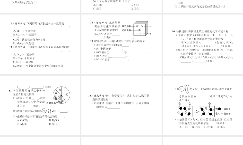 （遵义专版）秋九年级化学全册 专题2 化学用语课件 沪教版-沪教版初中九年级全册化学课件