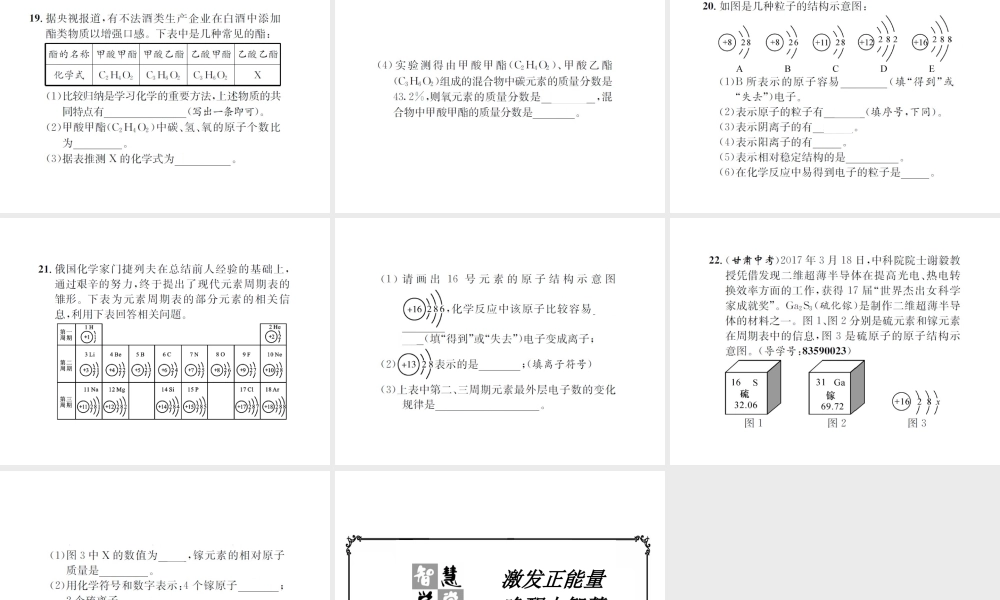 （遵义专版）秋九年级化学全册 专题2 化学用语课件 沪教版-沪教版初中九年级全册化学课件