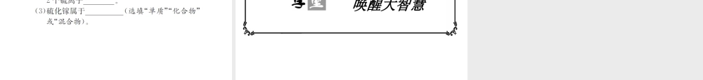 （遵义专版）秋九年级化学全册 专题2 化学用语课件 沪教版-沪教版初中九年级全册化学课件