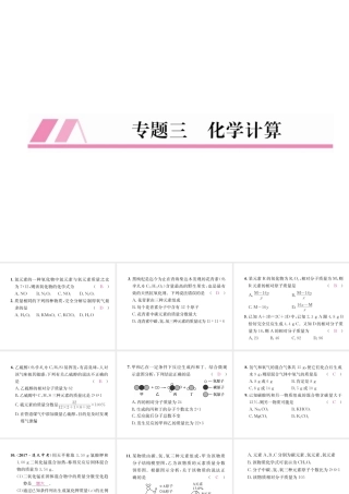 （遵义专版）秋九年级化学全册 专题3 化学计算习题课件 沪教版-沪教版初中九年级全册化学课件