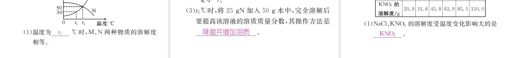 （遵义专版）秋九年级化学全册 专题4 溶解度及溶解度曲线习题课件 沪教版-沪教版初中九年级全册化学课件
