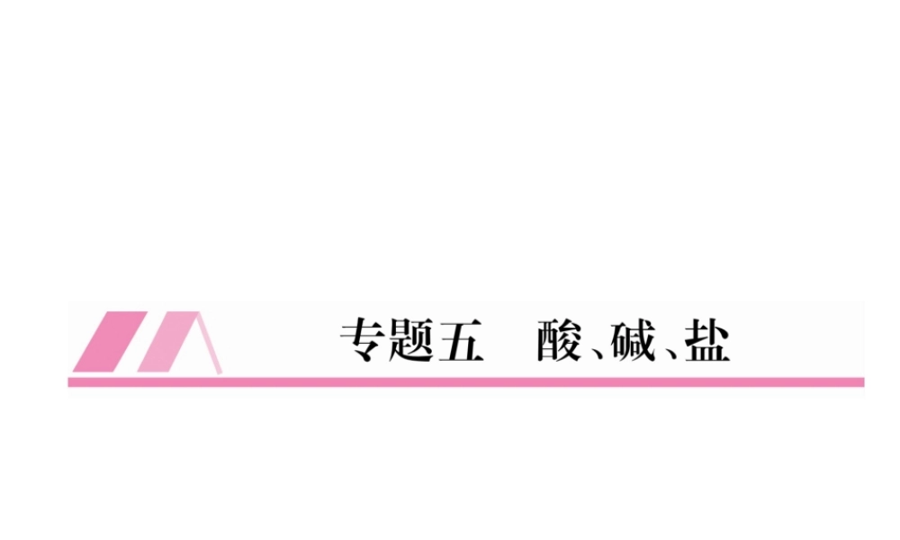 （遵义专版）秋九年级化学全册 专题5 酸、碱、盐习题课件 沪教版-沪教版初中九年级全册化学课件