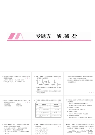 （遵义专版）秋九年级化学全册 专题5 酸、碱、盐习题课件 沪教版-沪教版初中九年级全册化学课件
