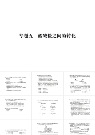 （遵义专版）秋九年级化学全册 专题5 酸碱盐之间的转化课件 沪教版-沪教版初中九年级全册化学课件