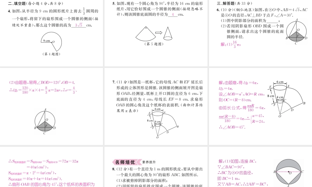 （遵义专级数学上册 第24章 圆 24.4 弧长和扇形面积 第2课时 圆锥的侧面积和全面积习题课件 （新版）新人教版-（新版）新人教级上册数学课件