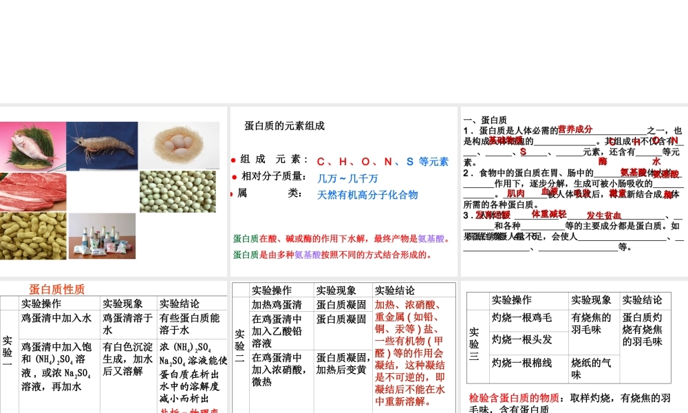 （遵义专版）秋九年级化学下册 第8章 食品中的有机化合物 第3节 蛋白质 维生素课件 沪教版-沪教版初中九年级下册化学课件