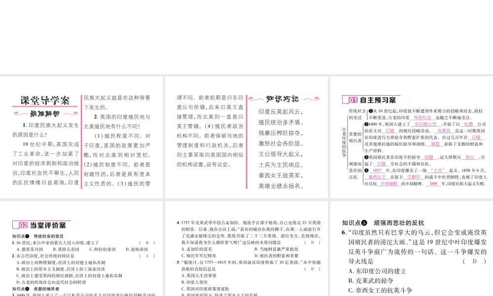 （遵义专用）九年级历史上册 第2单元 近代社会的确立与动荡 第9课 古老硬度的抗争课件 北师大版-北师大版初中九年级上册历史课件