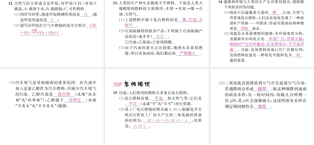 （遵义专版）秋九年级化学下册 第9章 化学与社会发展 第1节 能源的综合利用 第1课时 化石燃料习题课件 沪教版-沪教版初中九年级下册化学课件