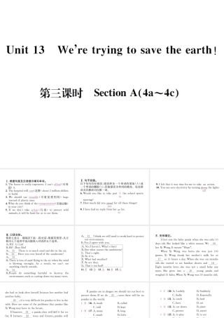 （遵义专版）秋九年级英语全册 Unit 13 We’re trying to save the earth（第3课时）习题课件 （新版）人教新目标版-（新版）人教新目标版初中九年级全册英语课件