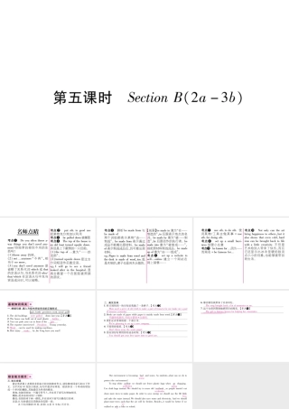 （遵义专版）秋九年级英语全册 Unit 13 We’re trying to save the earth（第5课时）Section B（2a-3b）作业课件 （新版）人教新目标版-（新版）人教新目标版初中九年级全册英语课件