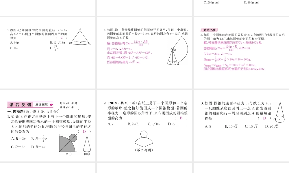 （遵义专版）秋九年级数学上册 第24章 圆 24.4 弧长和扇形面积 第2课时 圆锥的侧面积和全面积习题课件 （新版）新人教版-（新版）新人教版初中九年级上册数学课件