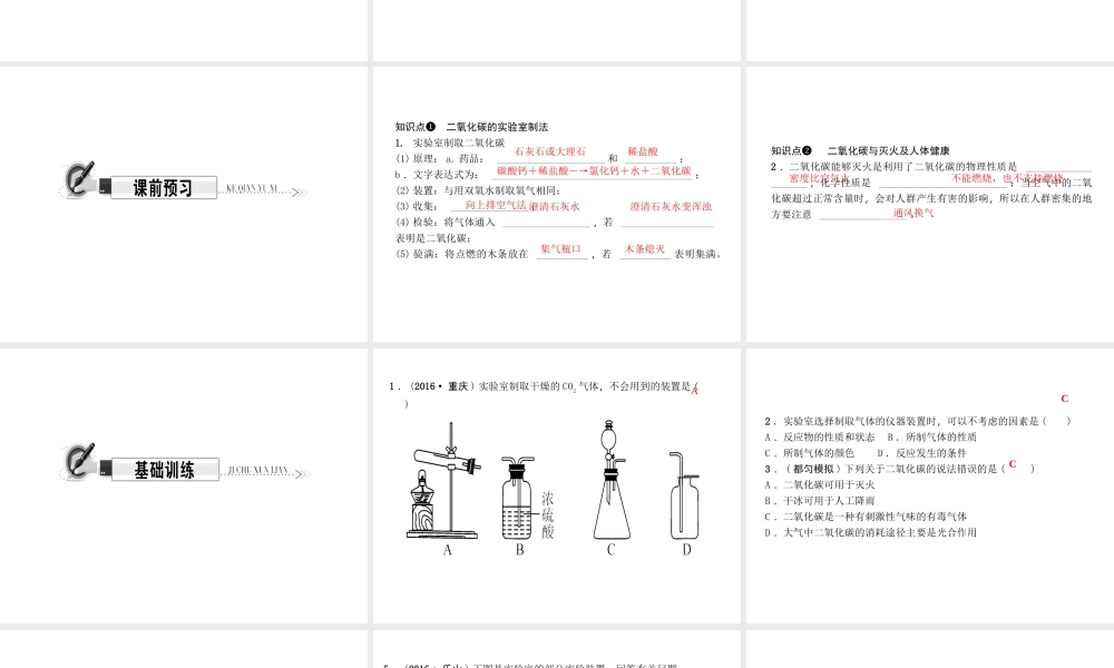 （遵义专版）秋九年级化学上册 第2单元 第2节 奇妙的二氧化碳 第2课时 二氧化碳的制备与利用作业课件 沪教版-沪教版初中九年级上册化学课件