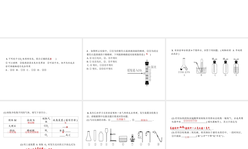 （遵义专版）秋九年级化学上册 第2单元 第2节 奇妙的二氧化碳（小册子）作业课件 沪教版-沪教版初中九年级上册化学课件