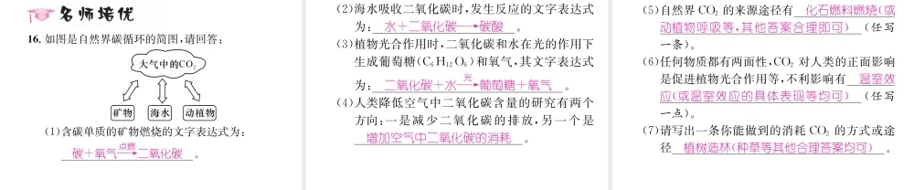 （遵义专版）秋九年级化学上册 第2章 身边的化学物质 第2节 奇妙的二氧化碳 第1课时 自然界中的二氧化碳及性质习题课件 沪教版-沪教版初中九年级上册化学课件