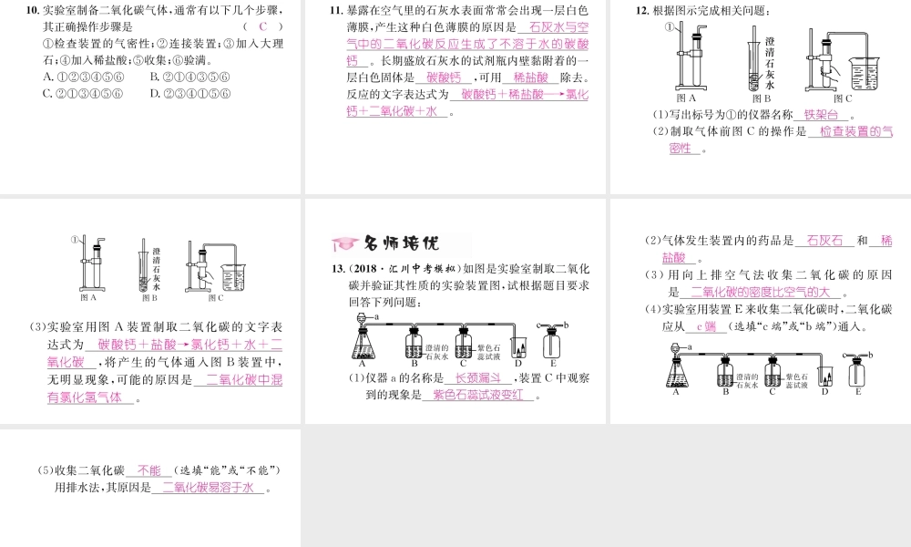 （遵义专版）秋九年级化学上册 第2章 身边的化学物质 第2节 奇妙的二氧化碳 第2课时 二氧化碳的制备与利用习题课件 沪教版-沪教版初中九年级上册化学课件