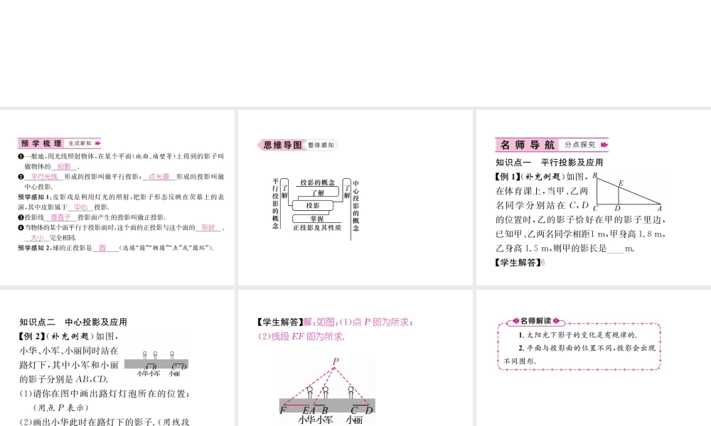（遵义专级数学下册 第29章 投影与视图 29.1 投影习题课件 （新版）新人教版-（新版）新人教级下册数学课件