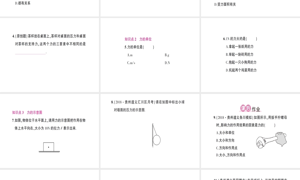 （遵义专版）八年级物理全册 第六章 第二节 怎样描述力习题课件 （新版）沪科版-（新版）沪科版初中八年级全册物理课件