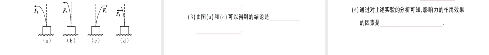 （遵义专版）八年级物理全册 第六章 第二节 怎样描述力习题课件 （新版）沪科版-（新版）沪科版初中八年级全册物理课件