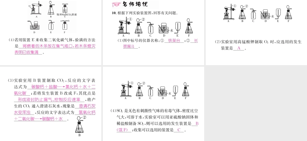 （遵义专版）秋九年级化学上册 第2章 身边的化学物质 基础实验2 二氧化碳的制取与性质习题课件 沪教版-沪教版初中九年级上册化学课件
