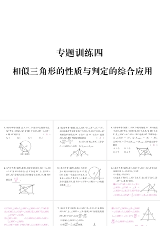 （遵义专版）秋九年级数学下册 专题训练四 相似三角形的性质与判定的综合应用习题课件 （新版）新人教版-（新版）新人教版初中九年级下册数学课件