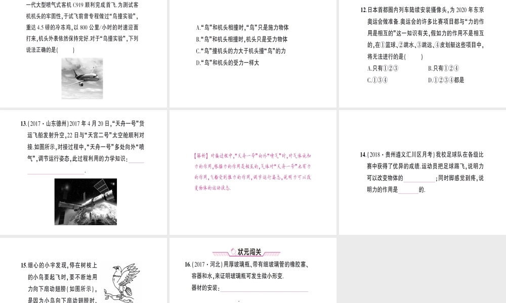 （遵义专版）八年级物理全册 第六章 第一节 力习题课件 （新版）沪科版-（新版）沪科版初中八年级全册物理课件