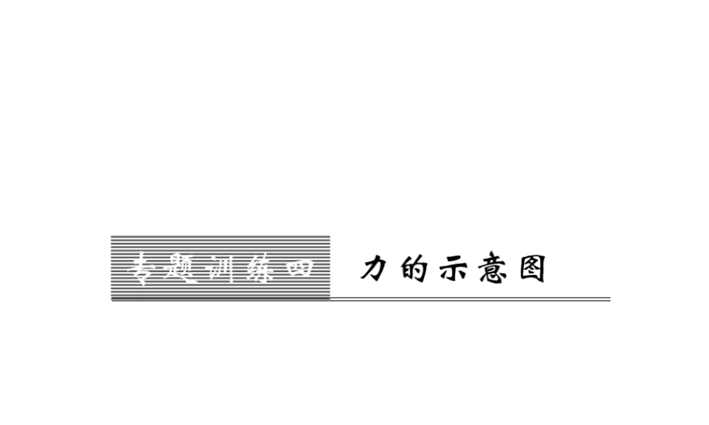 （遵义专版）八年级物理全册 第六章 熟悉而陌生的力 专题训练四 力的示意图课件 （新版）沪科版-（新版）沪科版初中八年级全册物理课件