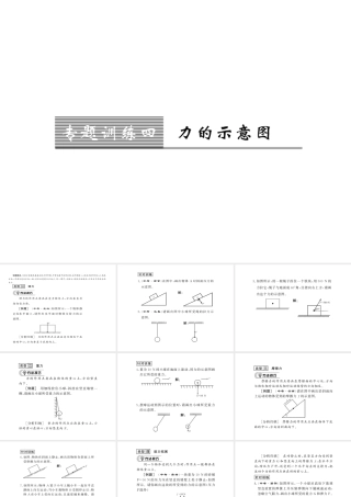 （遵义专版）八年级物理全册 第六章 熟悉而陌生的力 专题训练四 力的示意图课件 （新版）沪科版-（新版）沪科版初中八年级全册物理课件