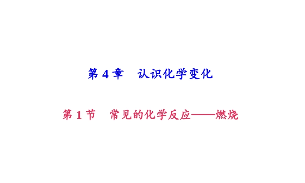 （遵义专版）秋九年级化学上册 第4单元 第1节 常见的化学反应—燃烧（小册子）作业课件 沪教版-沪教版初中九年级上册化学课件